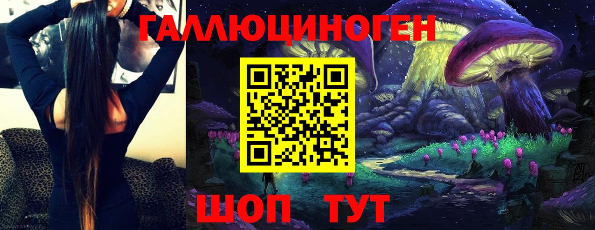 Псилоцибиновые грибы GOLDEN TEACHER Полысаево