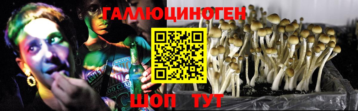 Галлюциногенные грибы Magic Shrooms  магазин продажи наркотиков  Полысаево  Вход с VPN 